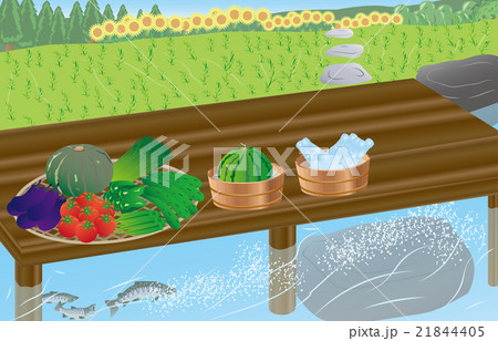 川端の夏野菜 川端の夏野菜 21844405