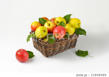 basket of apples basket of apples 21848469