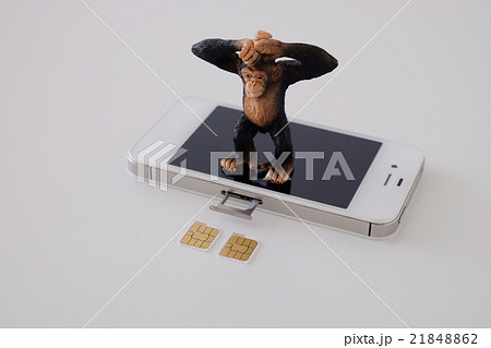 SIMカード SIMカード 21848862