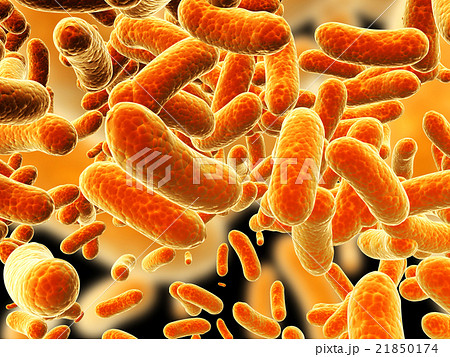 Colony of viruses 21850174