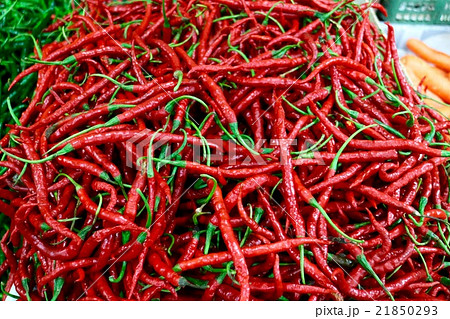 インドネシアの赤唐辛子 インドネシアの赤唐辛子 21850293
