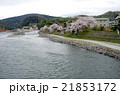 桜と宇治川 21853172
