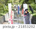 こいのぼり 21853202