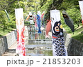 こいのぼり 21853203