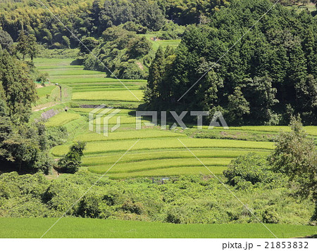 棚田風景 21853832