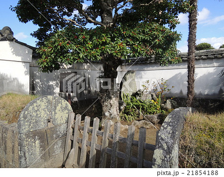 田中義一誕生地 21854188