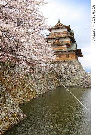 高島城の桜 21856016