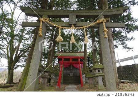 信州 諏訪 白狐稲荷神社 鳥居・拝殿横 京都伏見稲荷より勧進した信州稲荷の惣本社 信州 諏訪 白狐稲荷神社 鳥居・拝殿横 京都伏見稲荷より勧進した信州稲荷の惣本社 21856243