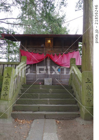 信州 諏訪 白狐稲荷神社 拝殿縦 京都伏見稲荷より勧進した信州稲荷の惣本社 信州 諏訪 白狐稲荷神社 拝殿縦 京都伏見稲荷より勧進した信州稲荷の惣本社 21856246