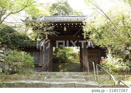 村雲御所 瑞龍寺（滋賀県近江八幡） 21857267