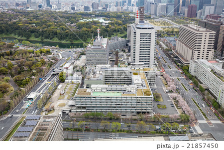 霞ヶ関・外務省とサクラ 21857450