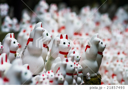 豪徳寺の招き猫(東京の風景) 豪徳寺の招き猫(東京の風景) 21857493