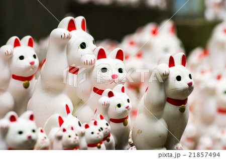 豪徳寺の招き猫（東京の風景） 21857494