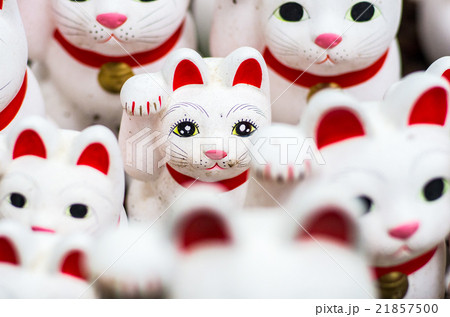 豪徳寺の招き猫（東京の風景） 21857500