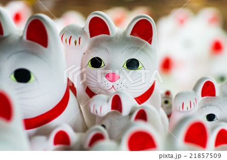 豪徳寺の招き猫(東京の風景) 豪徳寺の招き猫(東京の風景) 21857509