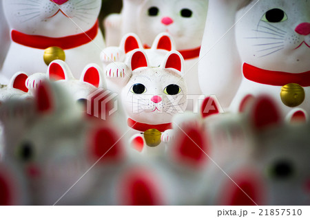 豪徳寺の招き猫（東京の風景） 21857510