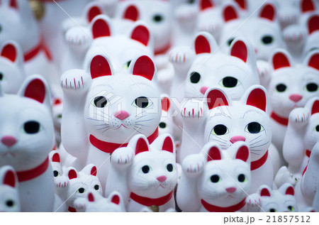 豪徳寺の招き猫（東京の風景） 21857512