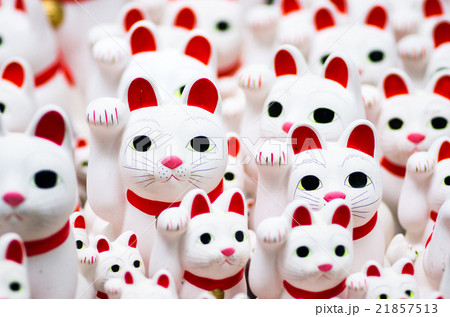 豪徳寺の招き猫（東京の風景） 21857513