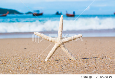 Starfish on the Beach for background Starfish on the Beach for background 21857839