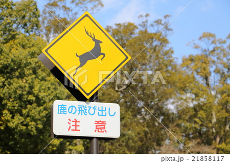 鹿の飛び出し注意標識 21858117