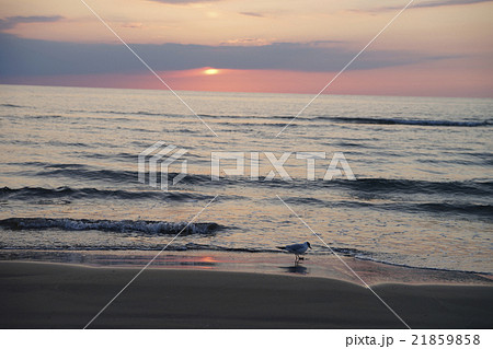 千里浜なぎさドライブウェイから見た夕陽 21859858