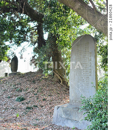 塩谷郡高根沢町 勝善神 塩谷郡高根沢町 勝善神 21860428