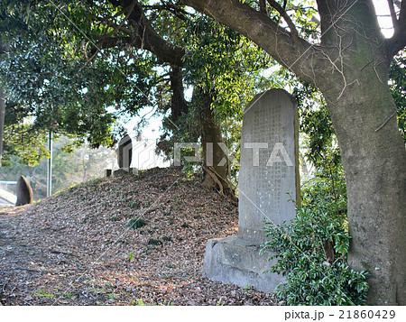 塩谷郡高根沢町　勝善神 21860429
