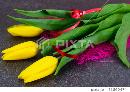 Beautiful Yellow tulips on Dark Background Beautiful Yellow tulips on Dark Background 21860474