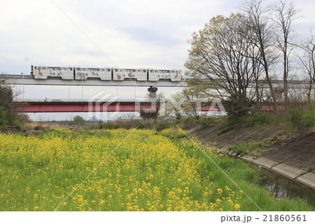 春の多摩川を渡る多摩都市モノレール線 21860561