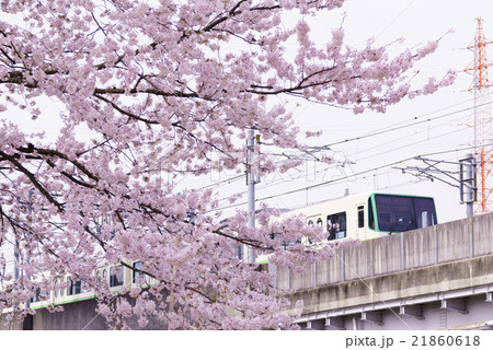 仙台市地下鉄南北線富沢駅沿線と新笊川河川敷沿いに咲く満開の桜の中を駆ける緑色の地下鉄電車 21860618
