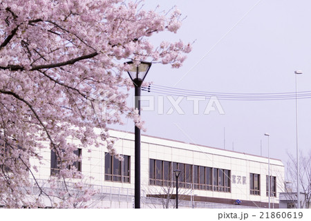 仙台市地下鉄南北線富沢駅沿線と新笊川河川敷沿いに咲く満開の桜と駅舎コピースペース余白 仙台市地下鉄南北線富沢駅沿線と新笊川河川敷沿いに咲く満開の桜と駅舎コピースペース余白 21860619