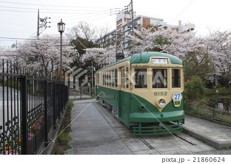 桜と都電6000形（一球さん） 21860624