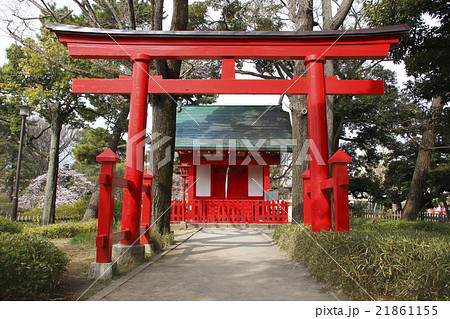 千束八幡神社 千束八幡神社 21861155