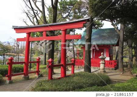千束八幡神社 千束八幡神社 21861157