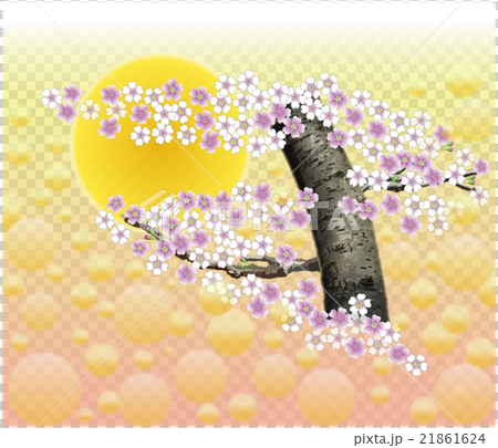 おぼろ月夜（橙）の桜と魂 21861624
