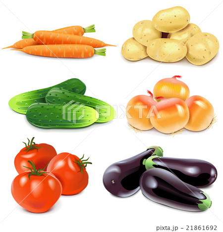 Vector Vegetables Vector Vegetables 21861692