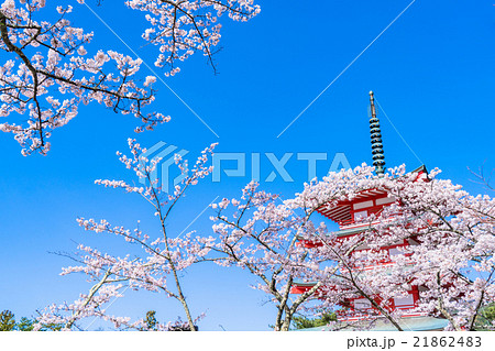 日本を象徴する風景【山梨県・新倉山浅間公園】 日本を象徴する風景【山梨県・新倉山浅間公園】 21862483