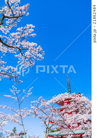 日本を象徴する風景【山梨県・新倉山浅間公園】 日本を象徴する風景【山梨県・新倉山浅間公園】 21862484
