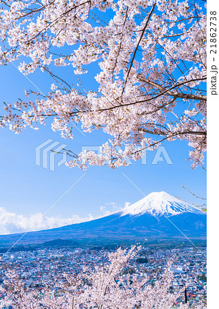 富士山と満開の桜 21862738