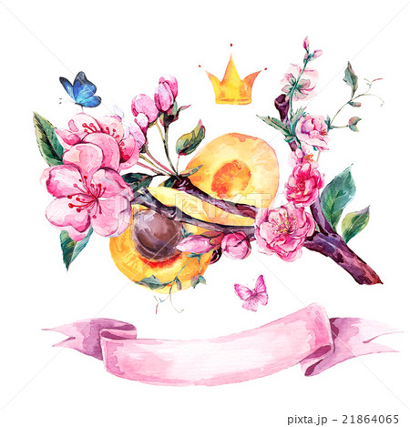 Watercolor greeting card with fruits and flowers Watercolor greeting card with fruits and flowers 21864065