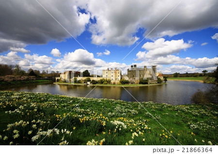 リーズ城と水仙 21866364
