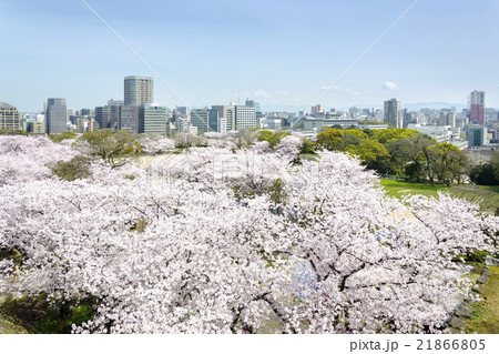 天守台からの眺め 21866805