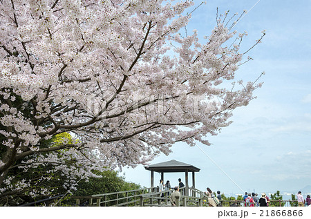 西公園中央展望広場 21866866