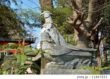 大谷場氷川神社:参道の狛雉 大谷場氷川神社:参道の狛雉 21867835