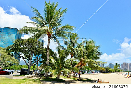 ハワイの休日 21868076