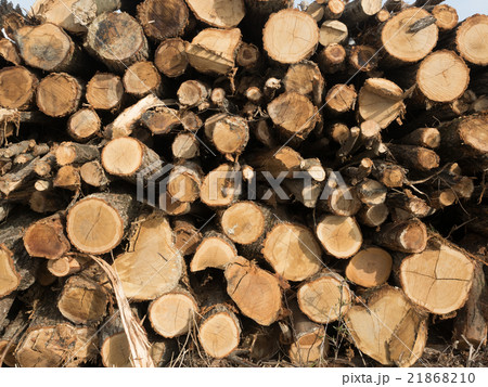 薪置き場 21868210