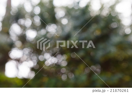 natural green bokeh background 21870261