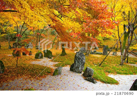 光明禅寺の紅葉 光明禅寺の紅葉 21870690