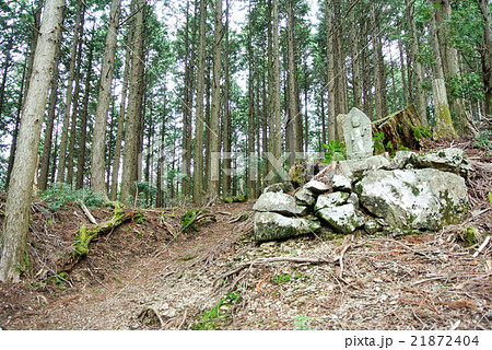 熊野古道 小辺路 西国三十三観音 熊野古道 小辺路 西国三十三観音 21872404