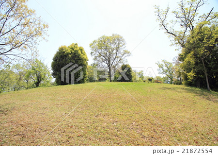 春の公園　 21872554